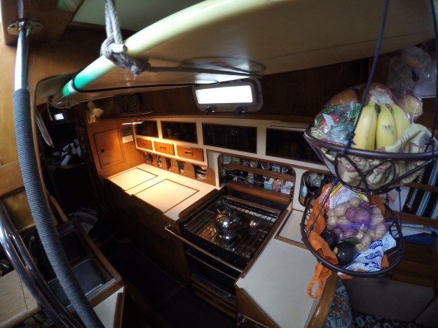 DCIM101GOPROGOPR2040.