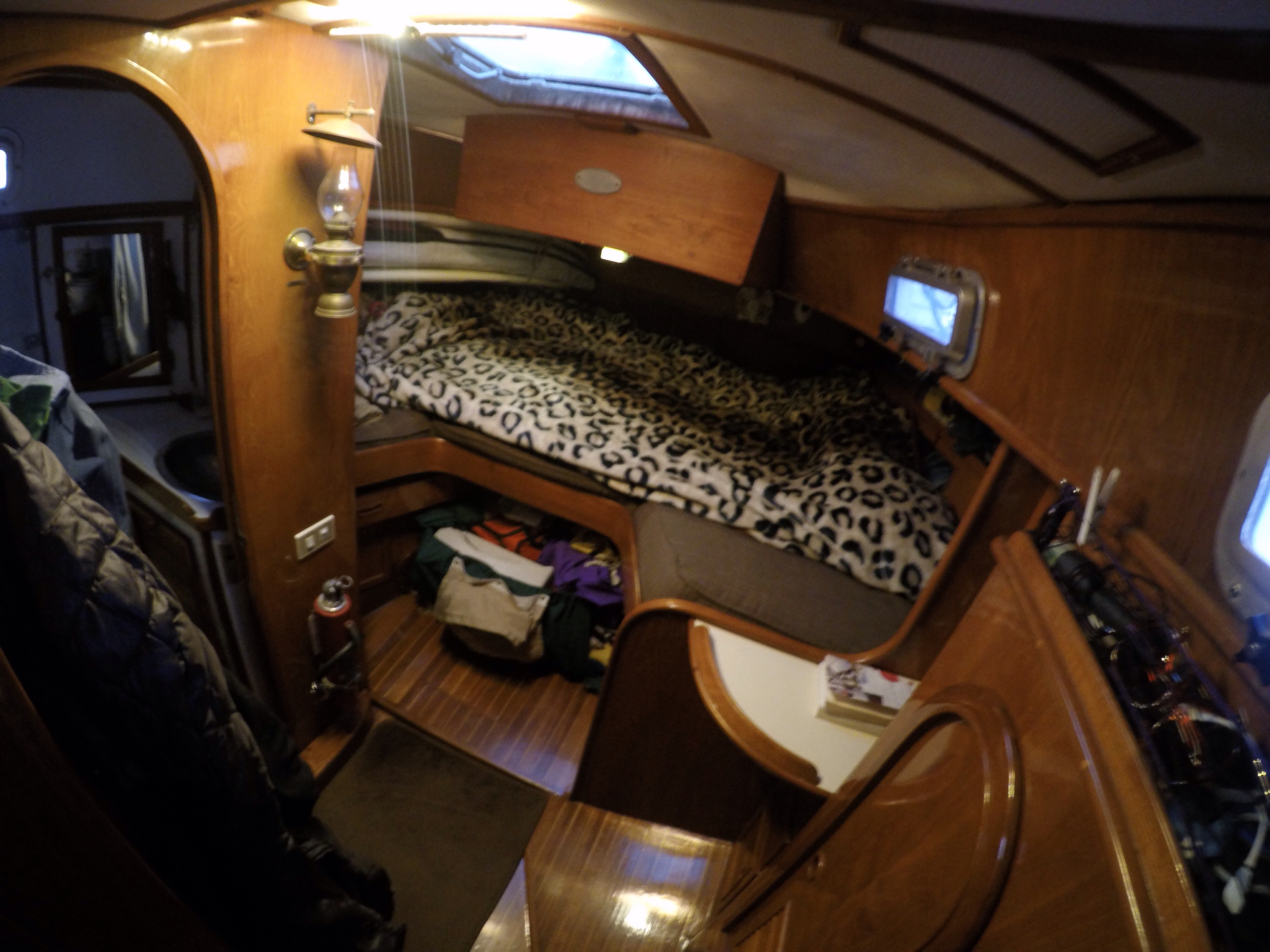 DCIM101GOPROGOPR2049.