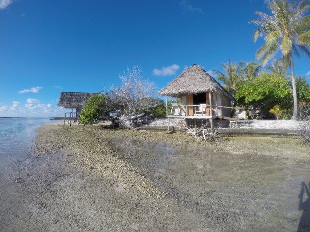 DCIM100GOPROGOPR0649.