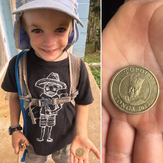 375dc796-9077-4cc0-b3f9-baf0d3f24088