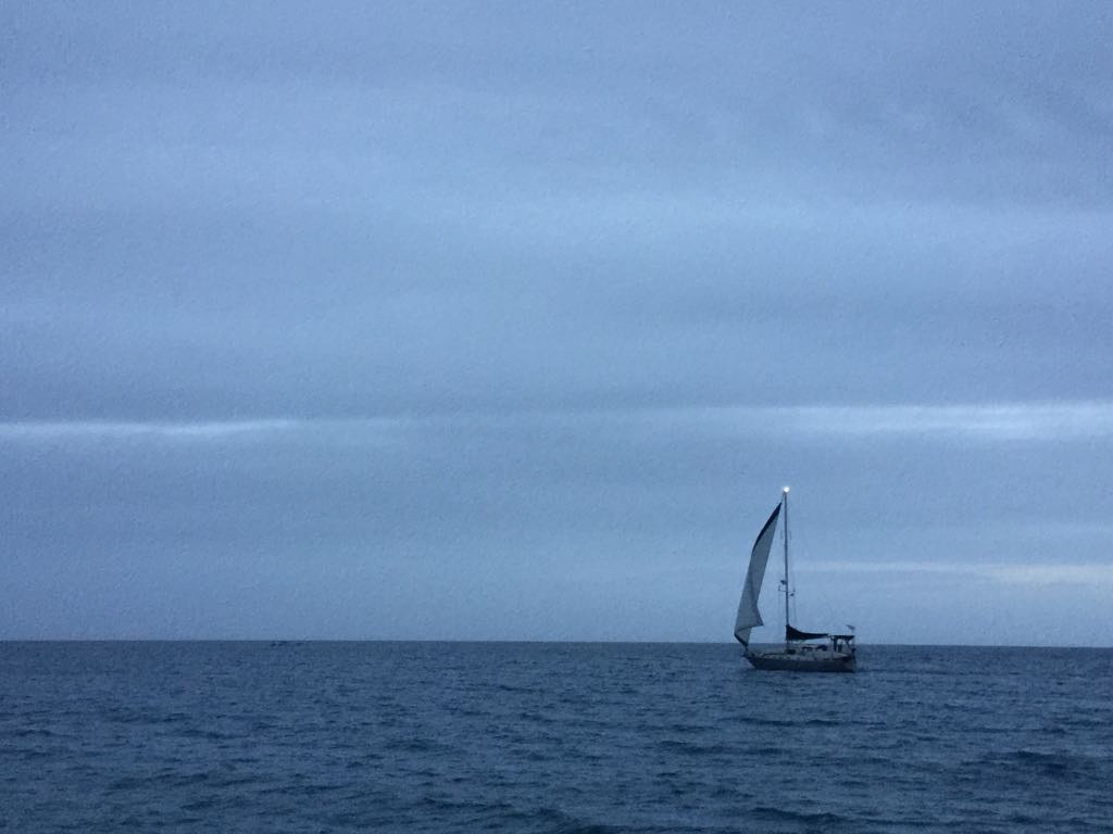 1864ed0e-3c41-467d-85cd-405e766f9898