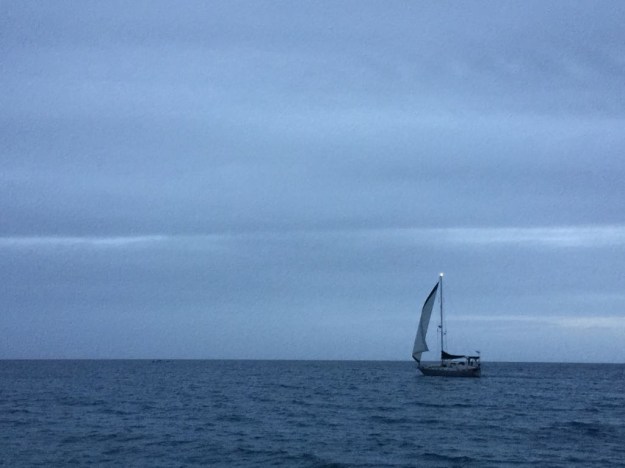 1864ed0e-3c41-467d-85cd-405e766f9898